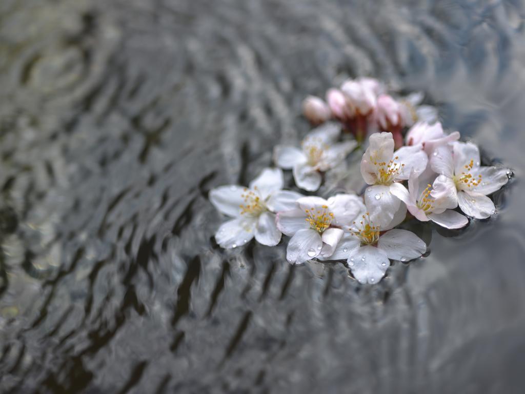 Umedaya Ryokan 카타시나 외부 사진
